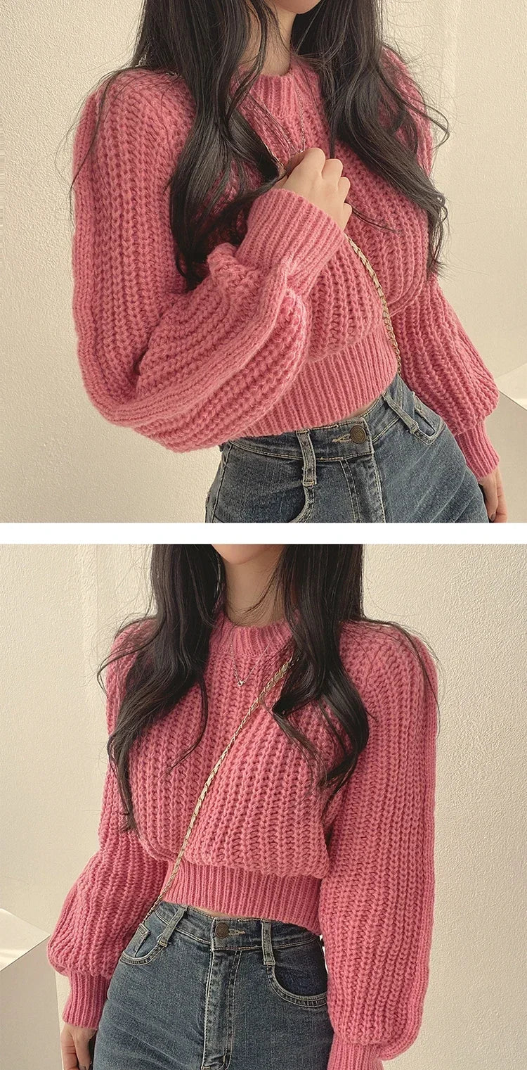 Women's Lantern Sleeve Loose Knit Sweater