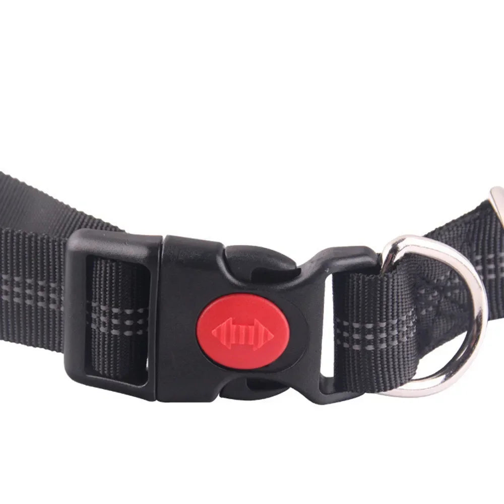 Hands-Free Retractable Dog Leash with Waist Belt – photo 4