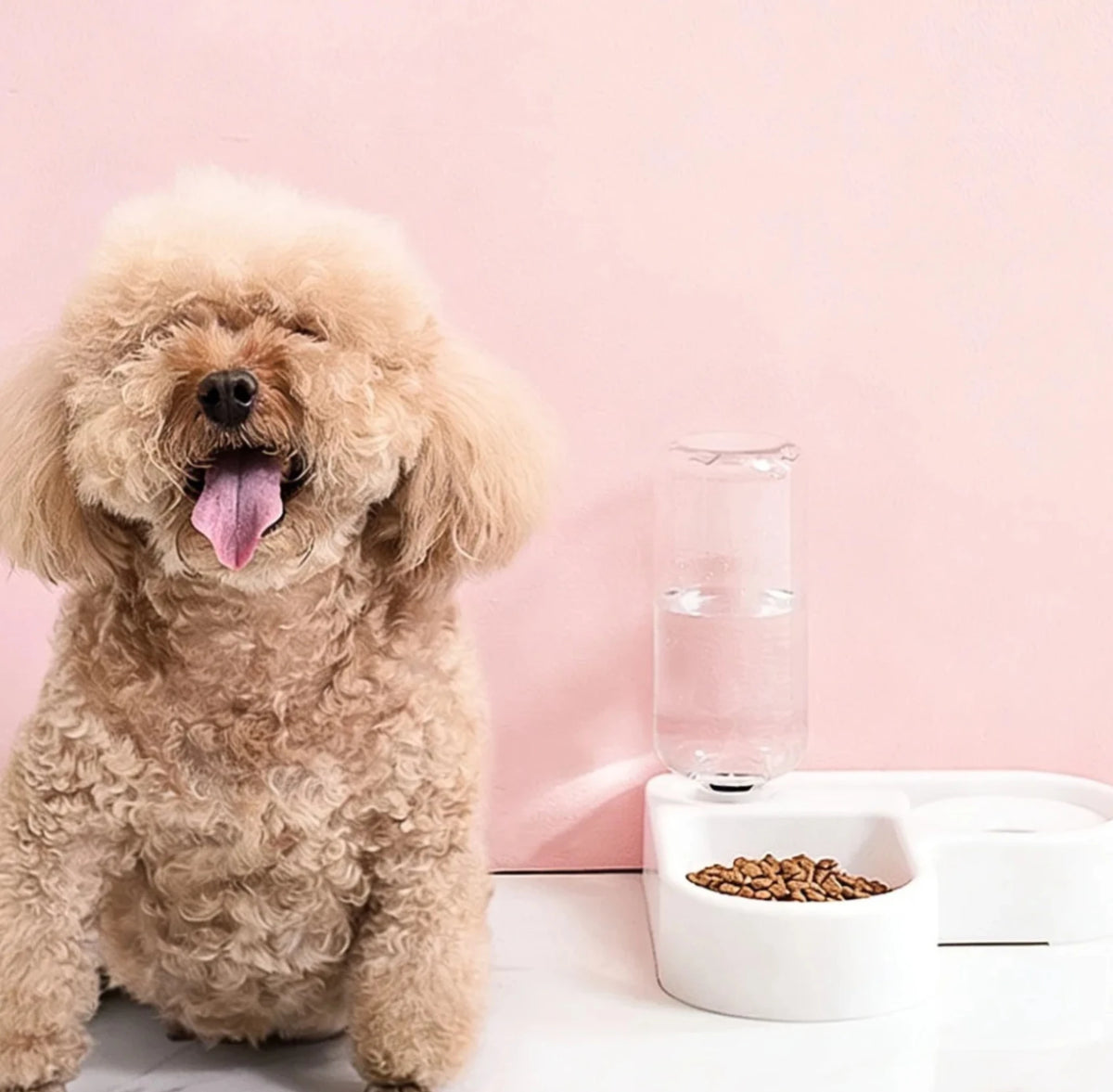 Double Pet Bowl Set - Food & Water for Cats & Small Dogs