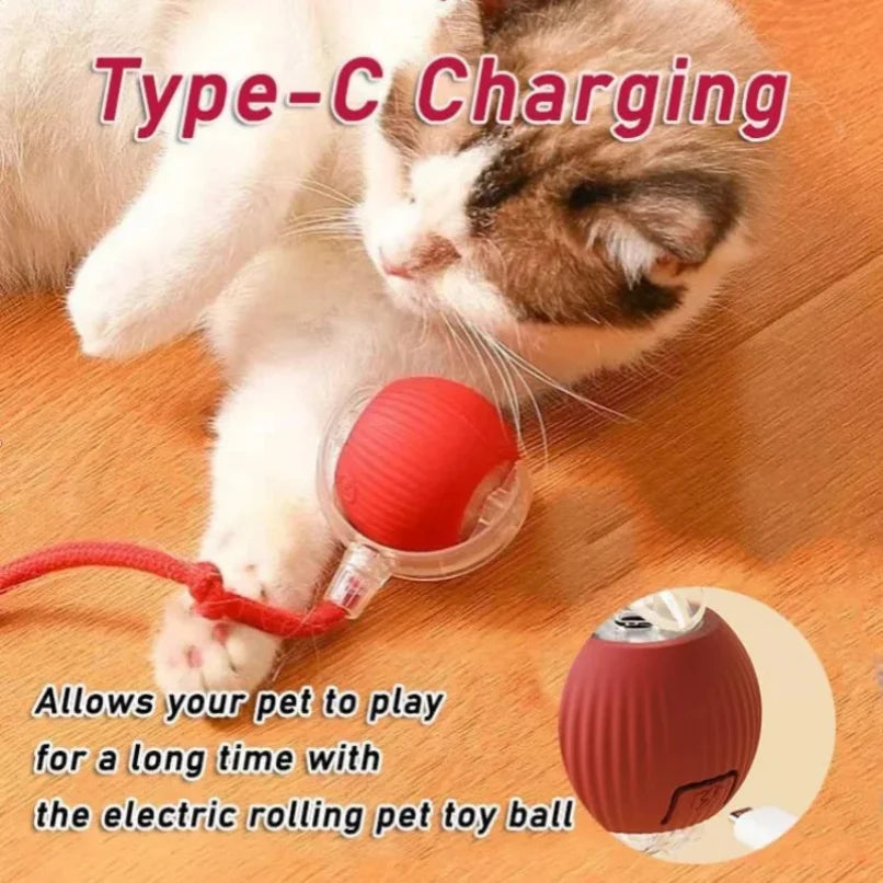 Electric Ball Toys Automatic Rolling Ball Rechargeable Smart Pet Interactive Plush Toy Dog Cat Training Imitate Mouse