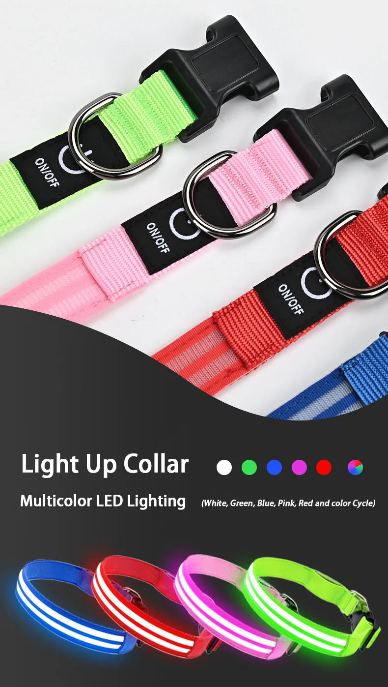 LED Light Up Dog Collar – Rechargeable Glowing Safety Collar for Night Walks | Color LED Pet Necklace with Harness & Leash Ring