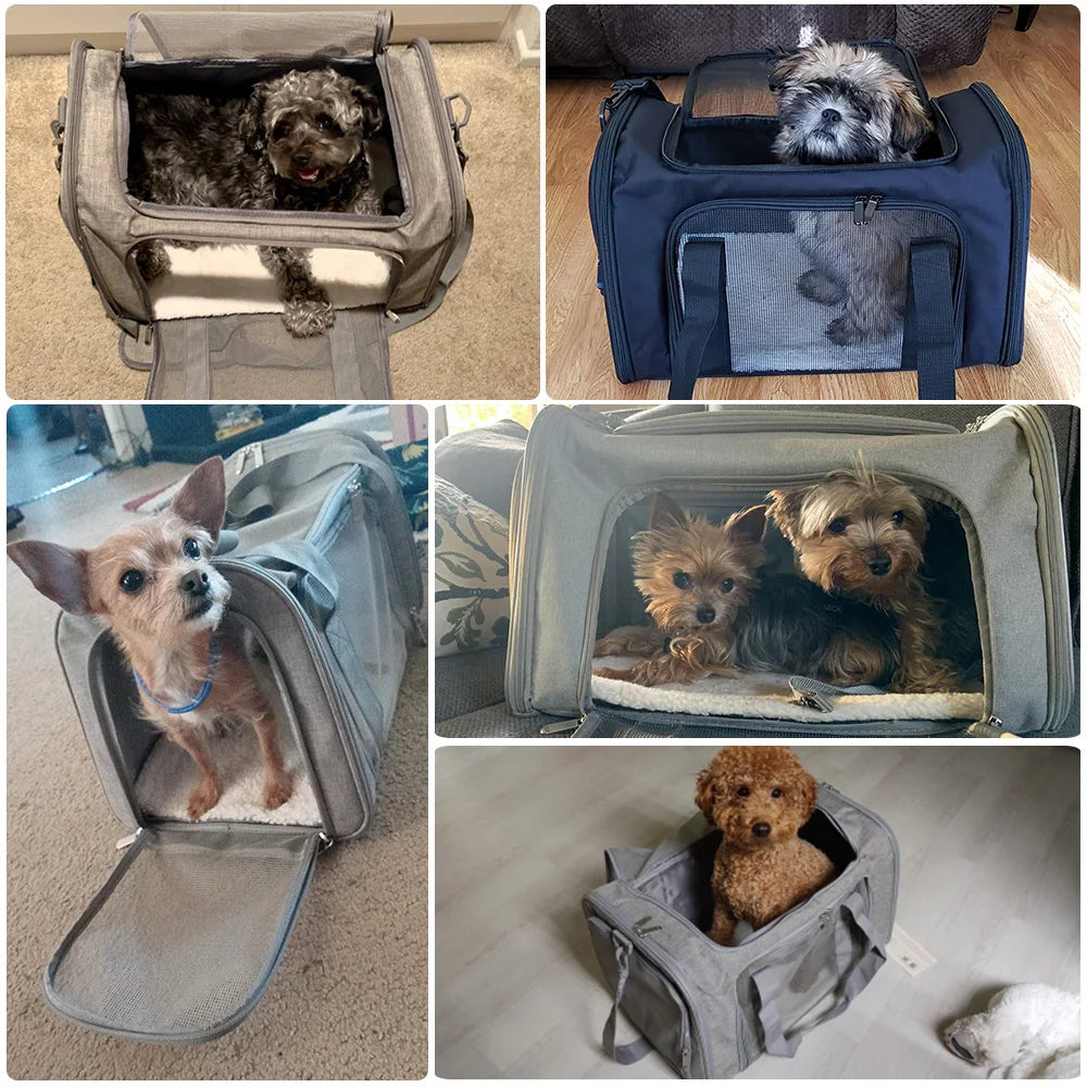 Soft-Side Dog Carrier Bag & Backpack – Airline Approved Pet Travel Bag for Small Dogs & Cats | M & L (Black, Gray)