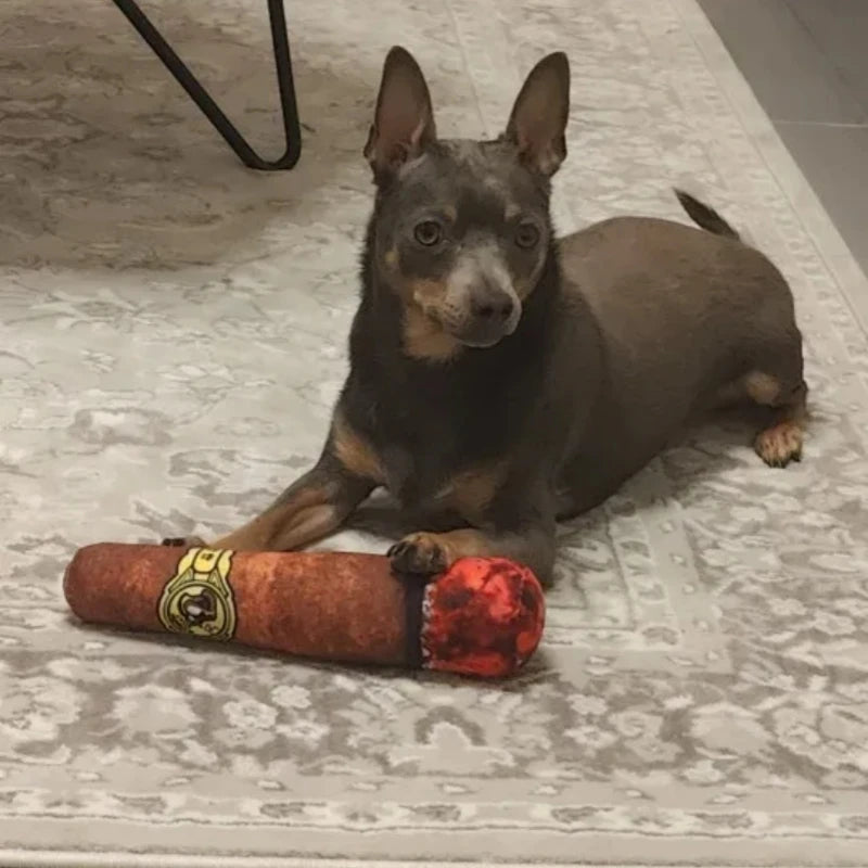 Squeaky Plush Cigar Dog Toy