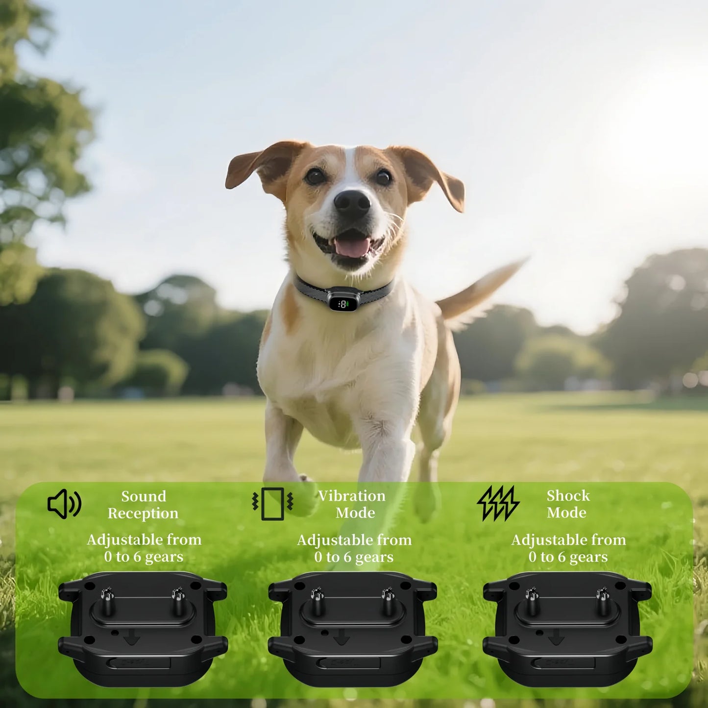 Waterproof Rechargeable Anti-Bark Dog Collar – Vibration Training Collar for Small & Medium Dogs | Black