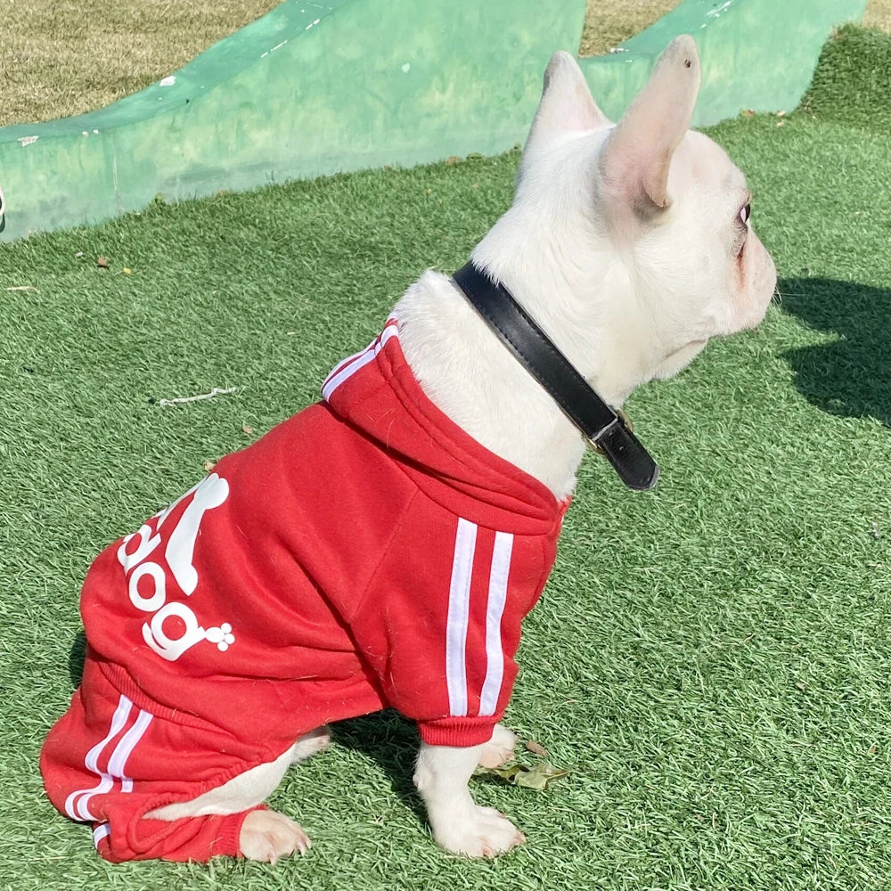 Classic Four-Leg Dog Hoodie - Puppy Sweater – photo 4