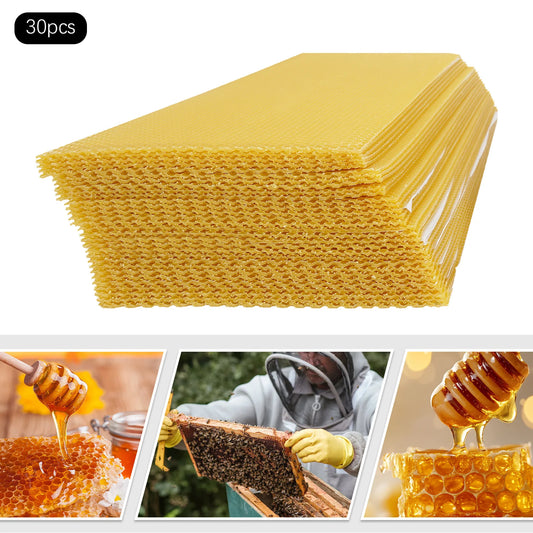 30-Pack Natural Beeswax Hive Foundation Sheets — Beekeeper Starter Kit