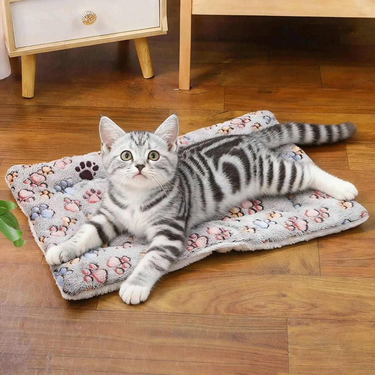 Flannel Pet Blanket Mat - Soft Washable Dog & Cat Sleeping Pad - photo 3