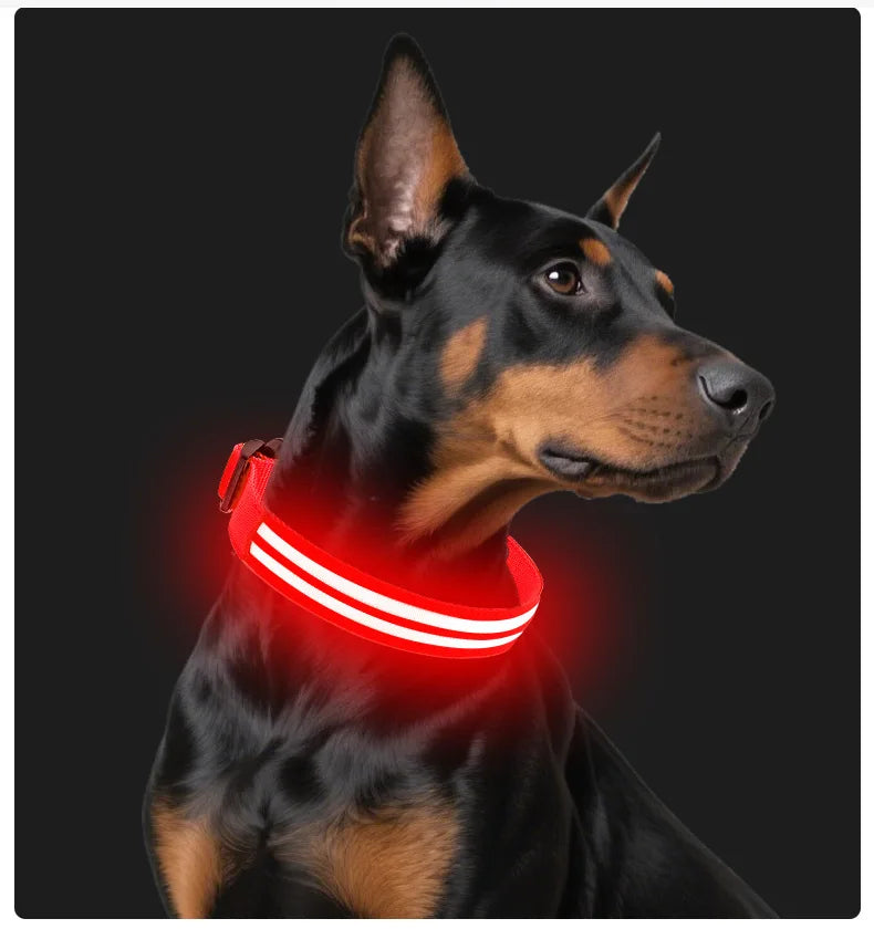 LED Light Up Dog Collar – Rechargeable Glowing Safety Collar for Night Walks | Color LED Pet Necklace with Harness & Leash Ring