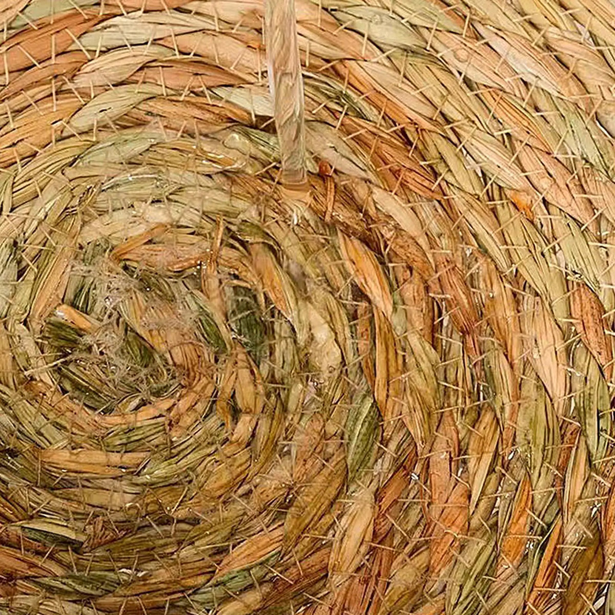 Cat Basket Bed Cotton Rope Woven Cat Bed with Pillow and Cushion All Season Indoor Weaving Pet Resting Scratching Sleeping