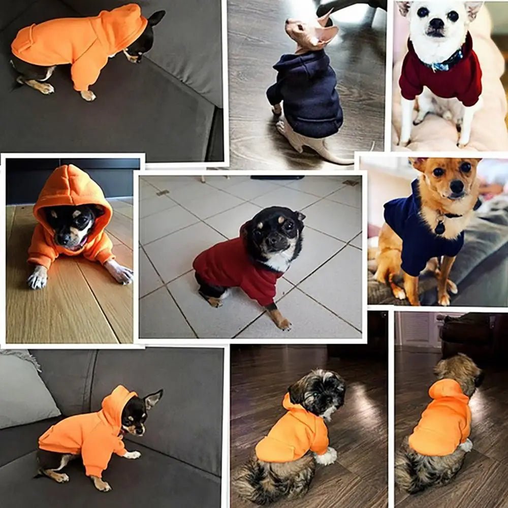 Winter Dog Hoodie Jacket - Sweatshirt Coat for Small and Medium Dogs - photo 4