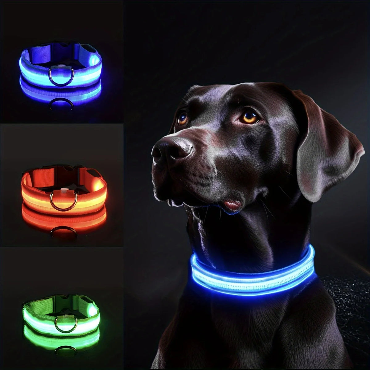 Reflective LED Dog Collar - Geometric Pattern, Battery
