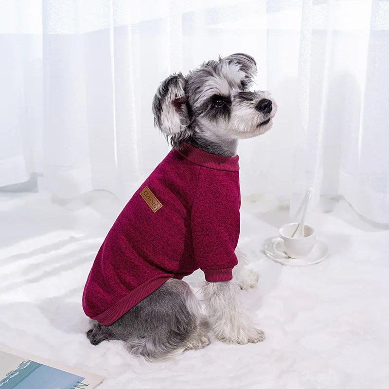 Round Neck Knit Dog Sweater - Warm Pullover for Small and Medium Pets - photo 5