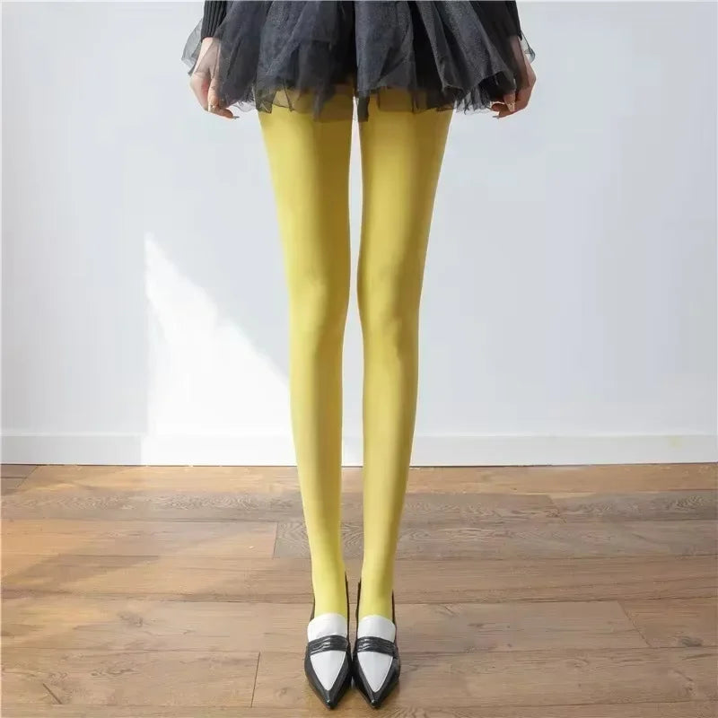 Women's Stretch Tights, Opaque, Lace and Velvet Styles