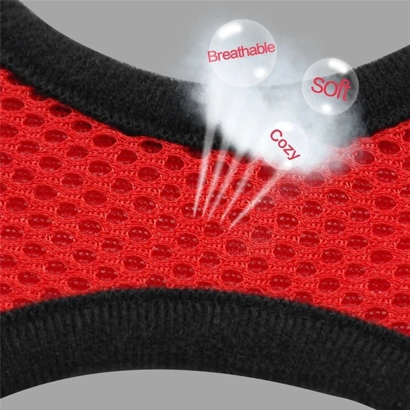 Adjustable Mesh Harness and Leash for Small Dogs and Cats, Reflective