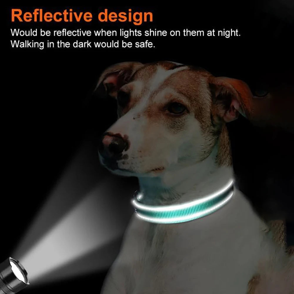 Reflective Dog Collar with Tracker Pocket - Medium Dogs – photo 4