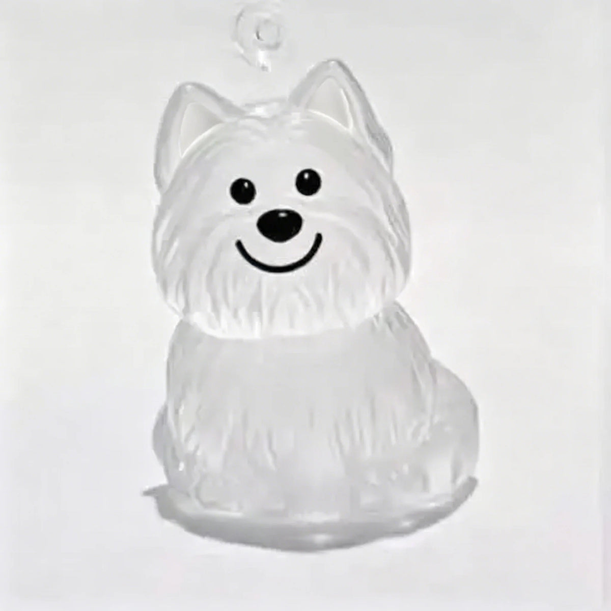 Transparent Dog Hair Storage Container Adorable Pet Keepsake Capsule Pendant With Key Ring for Pet Lovers DIY Memorial Keychain