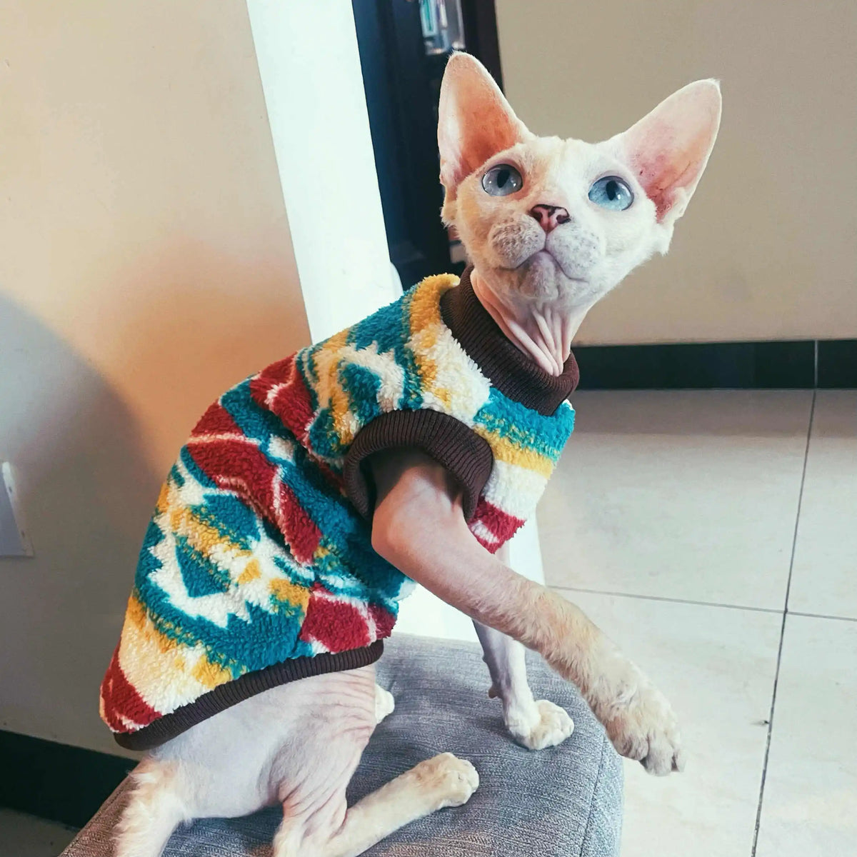 Short Sleeve Fleece Cat Sweatshirt - Warm Coat for Short-Legged Cats