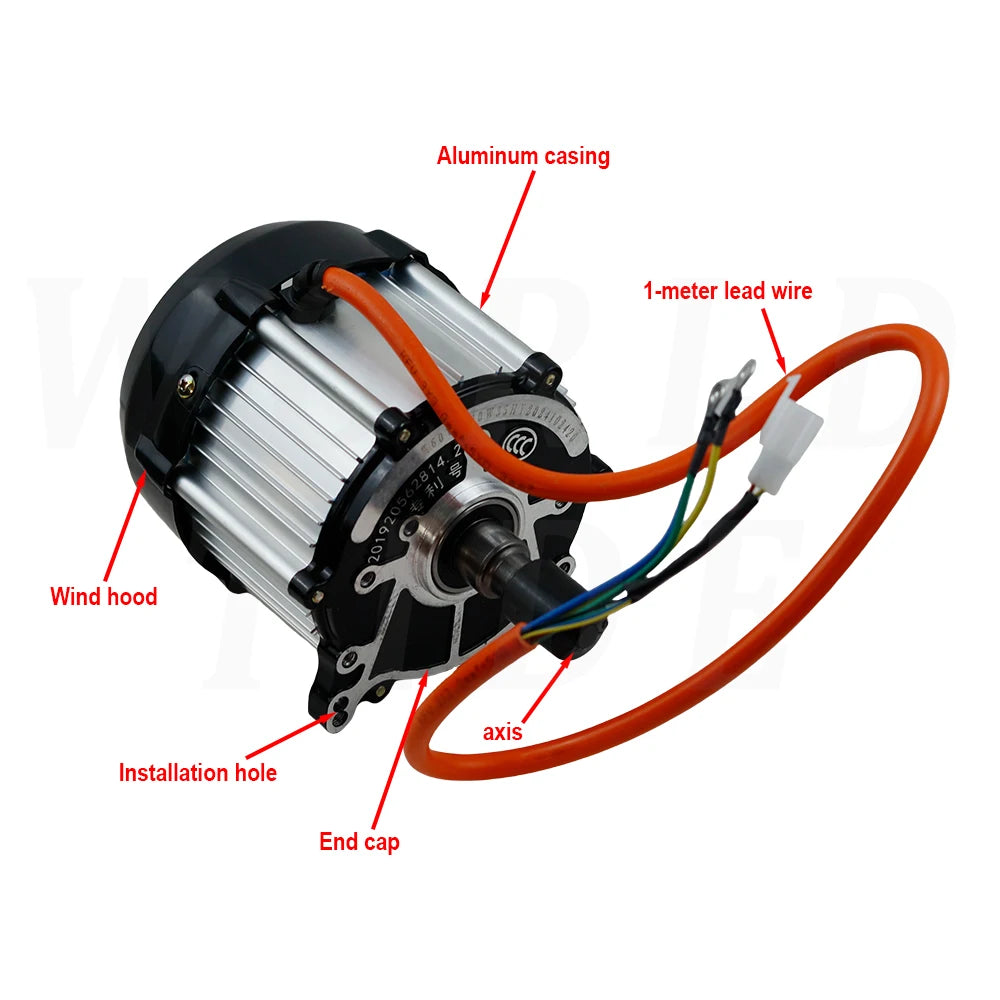 60V 1000W Permanent Magnet Brushless Differential Motor for Electric Tricycle Electric Vehicle Universal