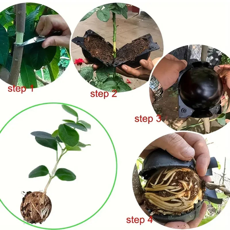 Garden Orchard Plants Grafting Rooting Box Reusable Cutting Garden Rooting Clone Propagation Ball Breeding Equipment for Sapling