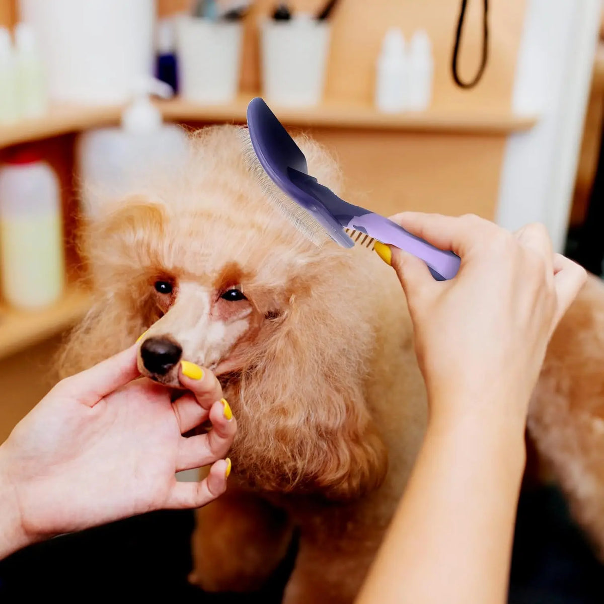 Dog Dematting Brush for Poodles & Curly Coats - Detangling Comb - photo 6