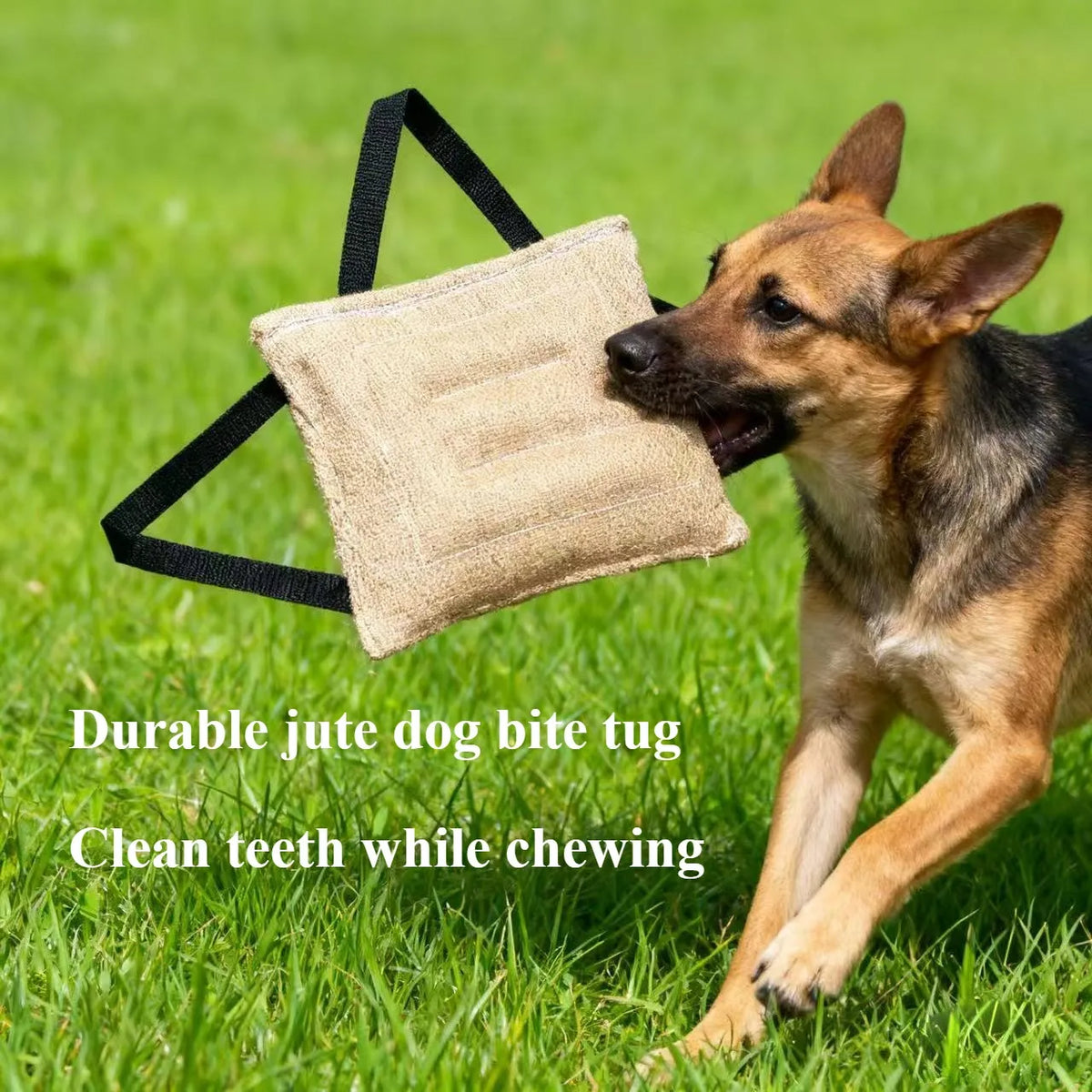 Two-Handle Jute Bite Stick - Tug Toy Puppy to Large Dog – photo 2