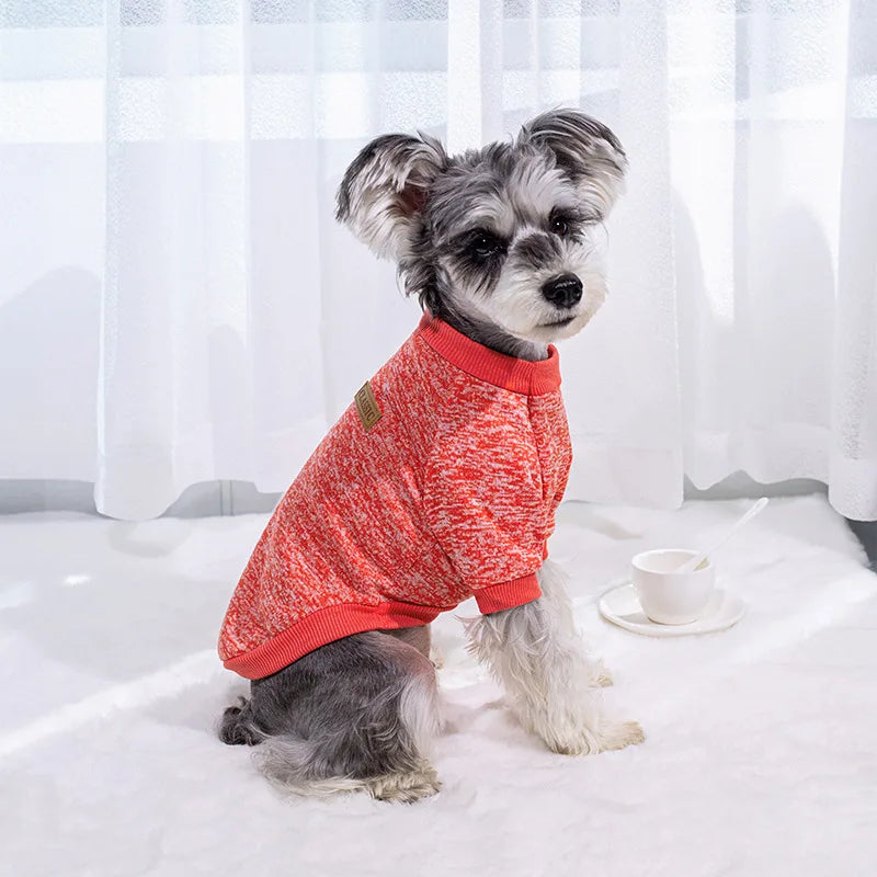 Round Neck Knit Dog Sweater - Warm Pullover for Small and Medium Pets - photo 4