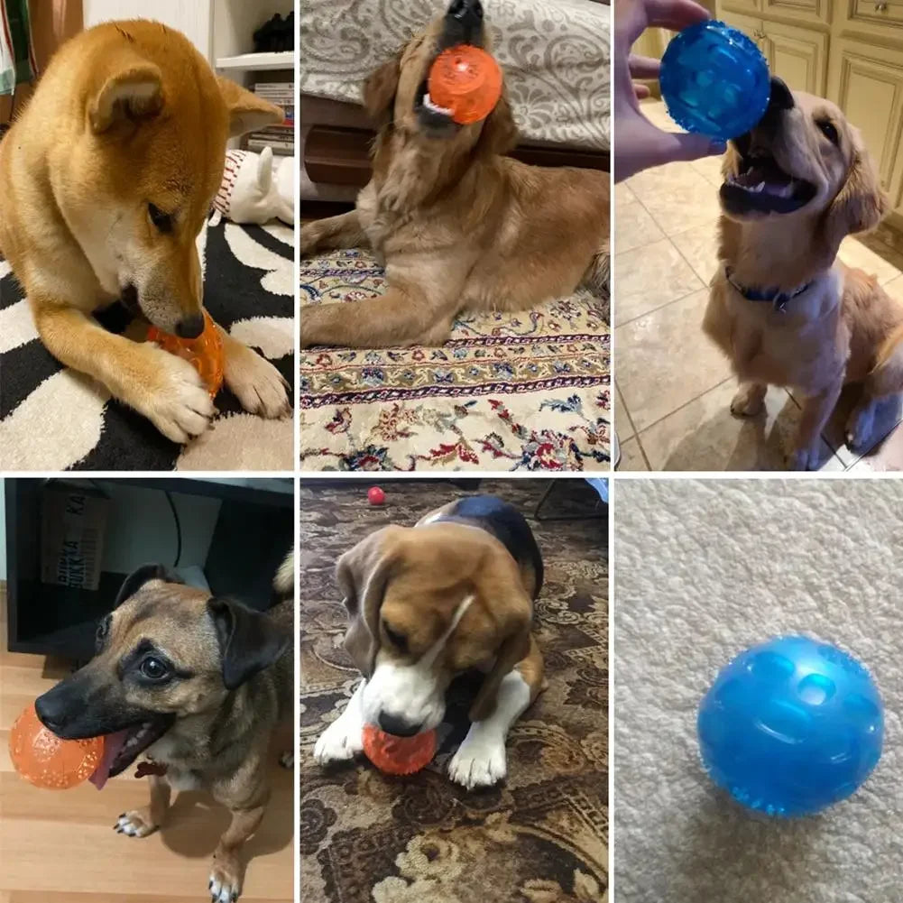 Car-Shaped Squeaky Dog Ball Toy - Anti-Bite Training Toy – photo 5