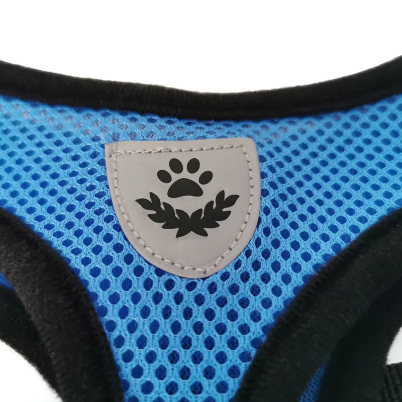 Adjustable Mesh Harness and Leash for Small Dogs and Cats, Reflective