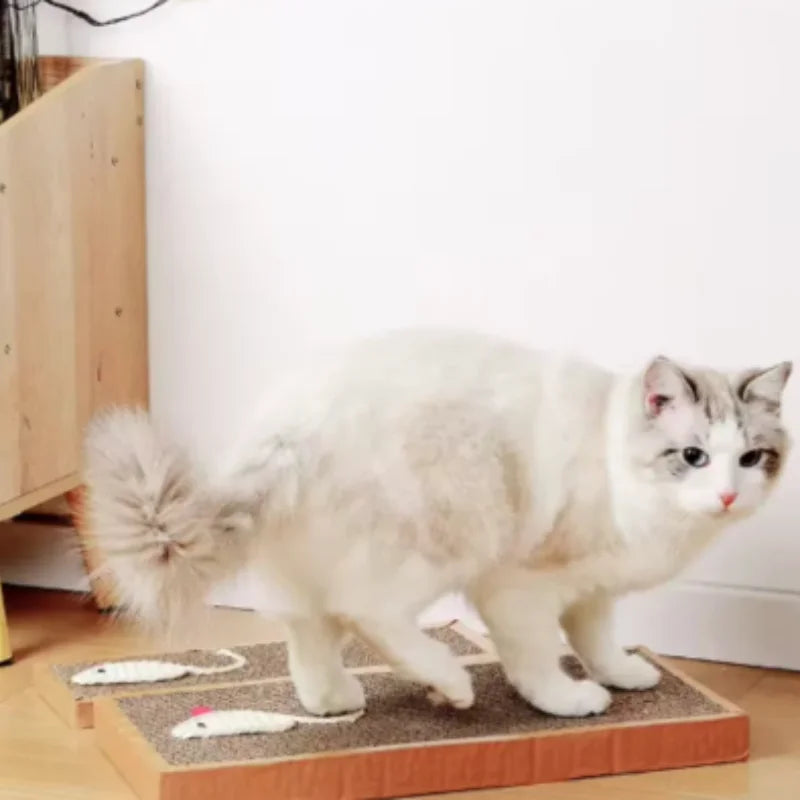 Pet Cat Scratching Board Cardboard Mat Scraper Grinding Claw Toy Cat Scratcher Furniture Protector Essential Cat Accessories