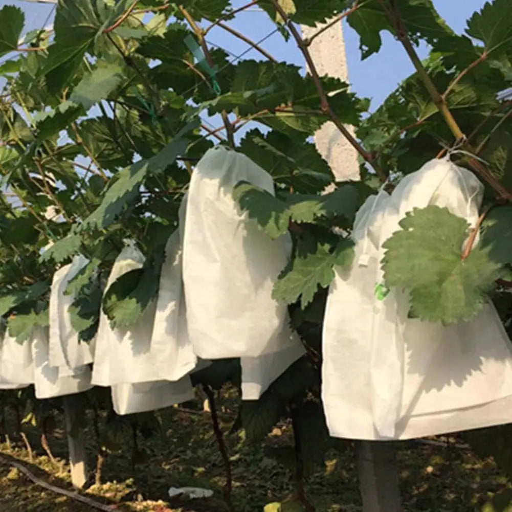 50Pc Fruit Protection Bags — Drawstring Mesh Tree Netting Covers