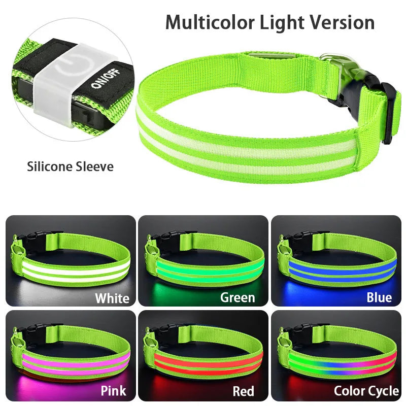 LED Light Up Dog Collar – Rechargeable Glowing Safety Collar for Night Walks | Color LED Pet Necklace with Harness & Leash Ring