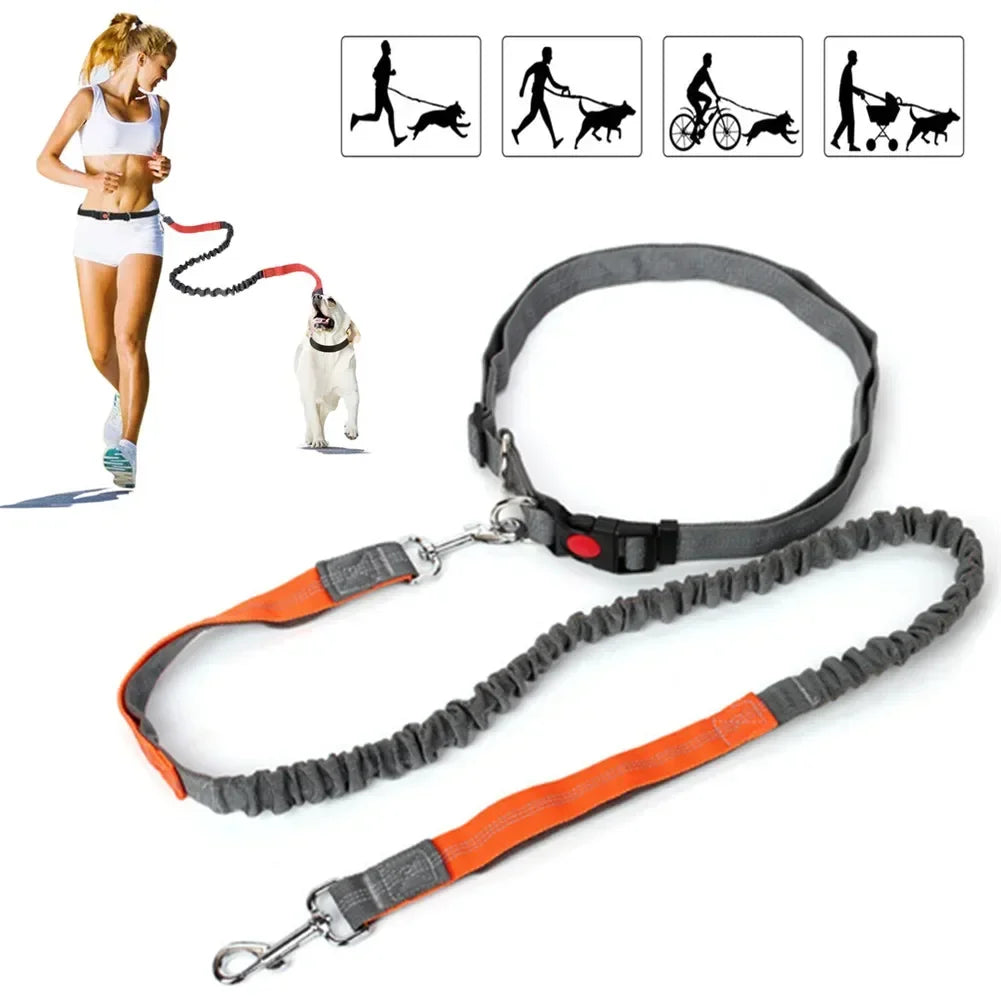 Hands-Free Retractable Dog Leash with Waist Belt