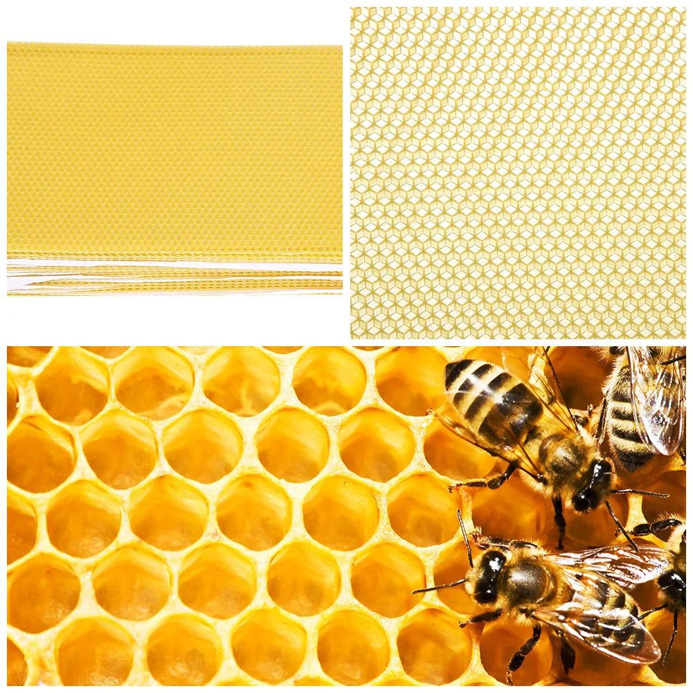 30PCS Premium Beeswax Tablet Honey Shaker Filter for Beekeeping Natural Beekeeping Essentials