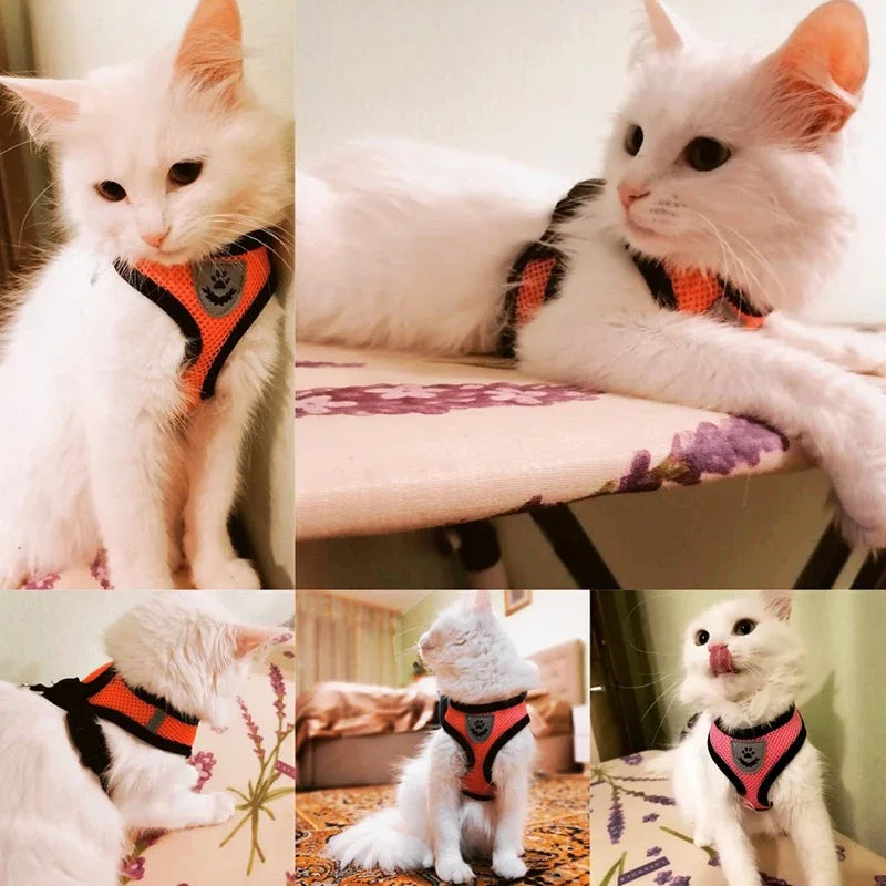 Adjustable Mesh Harness and Leash for Small Dogs and Cats, Reflective