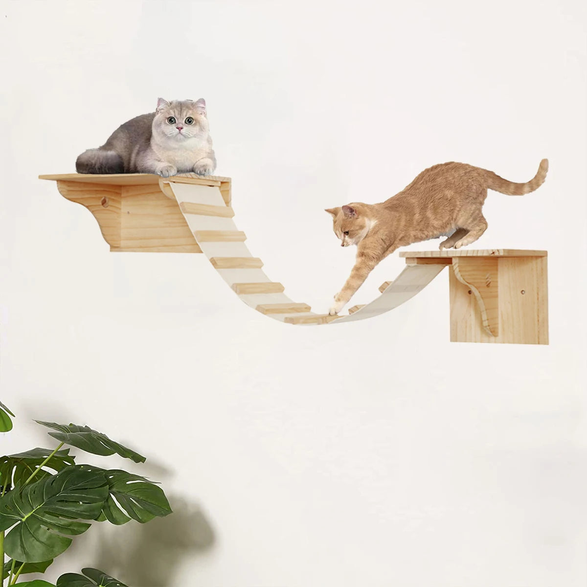 Cat Wall Climbing Set - 2 Shelves & Bridge Ladder – photo 5