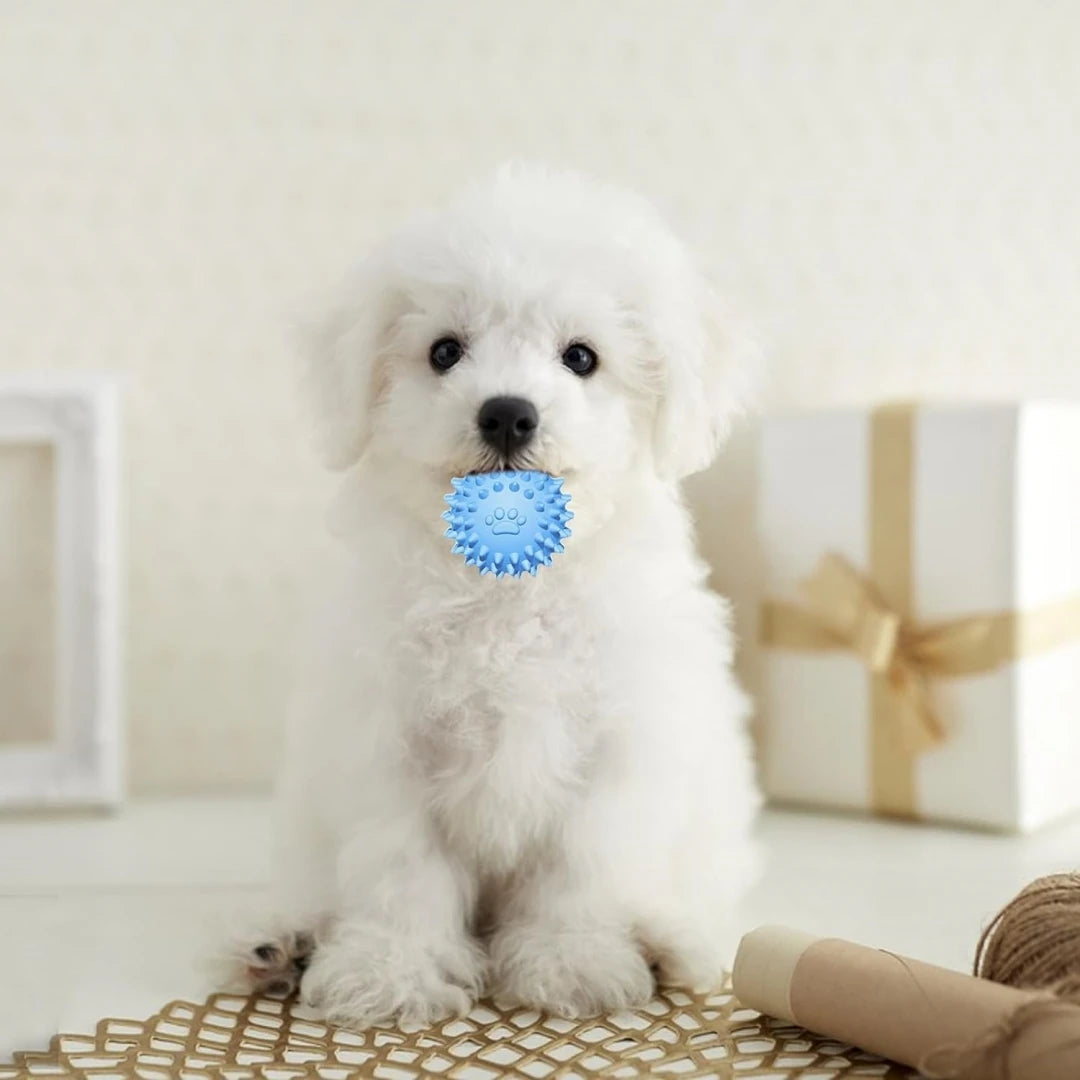 3-Pack Puppy Chew Toys - Soft Rubber & Rope Set – photo 3