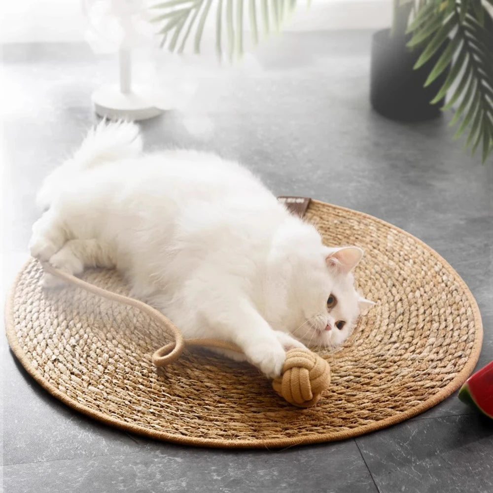 Large Rattan Cat Scratching Board - Natural Vine Sofa Protector – photo 2