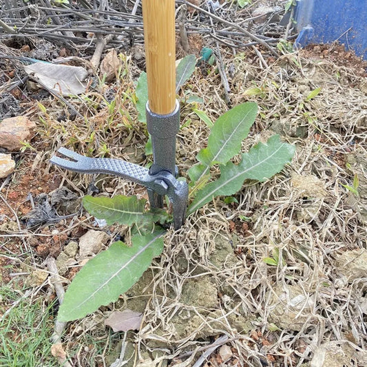 Stand Up Weed Puller Tool 4-Claw Heavy-Duty Steel Weed Remover Tool with Long Handle Adjustable Weeding Artifact