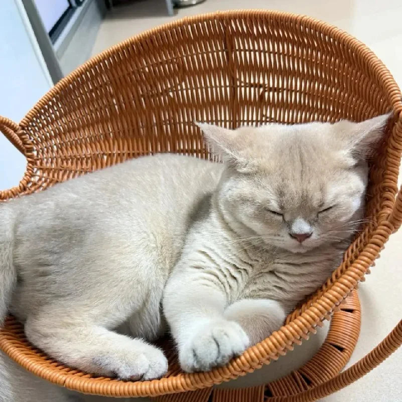 Woven-Look Semi-Enclosed Cat Bed - Basket Style House – photo 3
