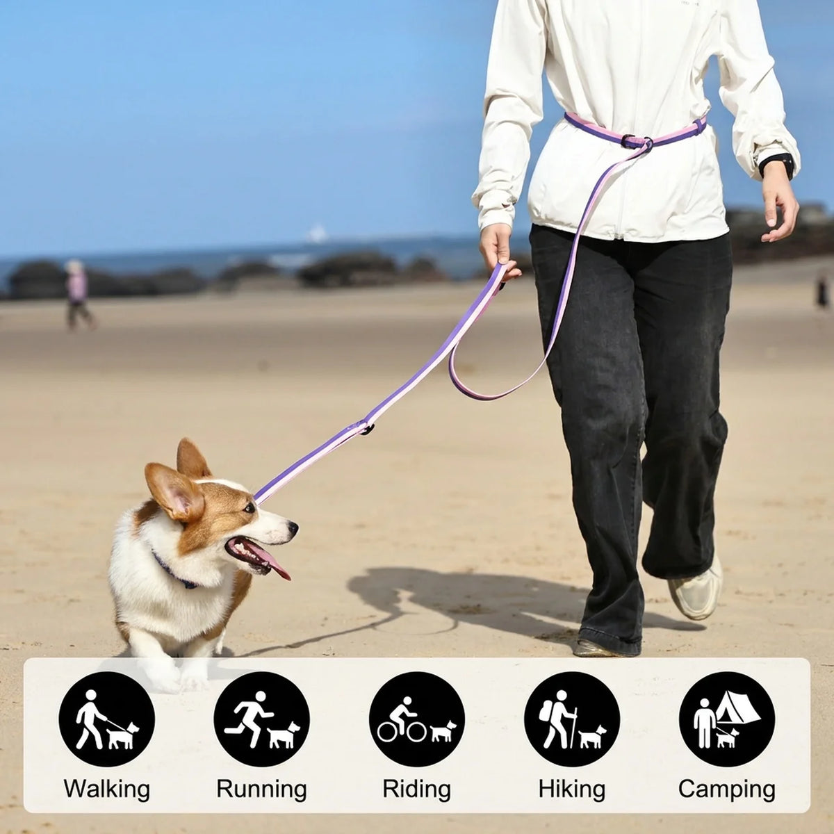 Hands-Free Dog Leash & Collar Set - Reflective Lead for Small Dogs - photo 5