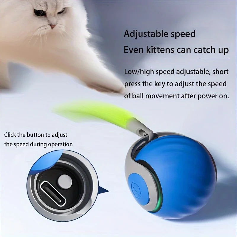 Smart Electric Rolling Cat Toy Ball – USB Rechargeable Automatic Interactive Teaser | Moving Bouncing Ball for Cats