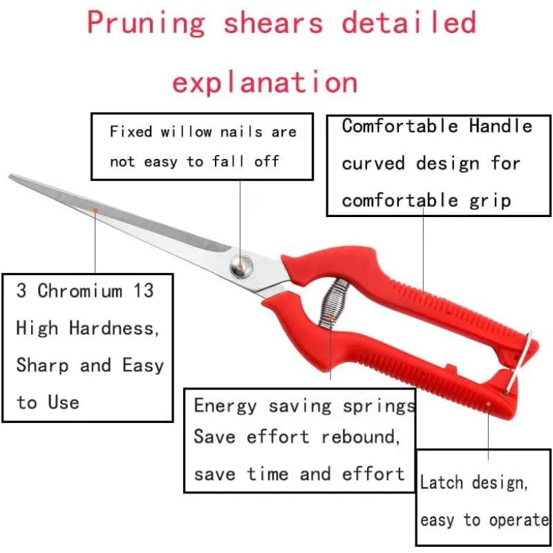 Straight-Head Pruning Shears — Stainless Steel Bonsai Garden Scissors