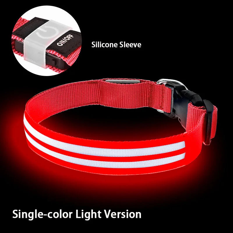 LED Light Up Dog Collar – Rechargeable Glowing Safety Collar for Night Walks | Color LED Pet Necklace with Harness & Leash Ring