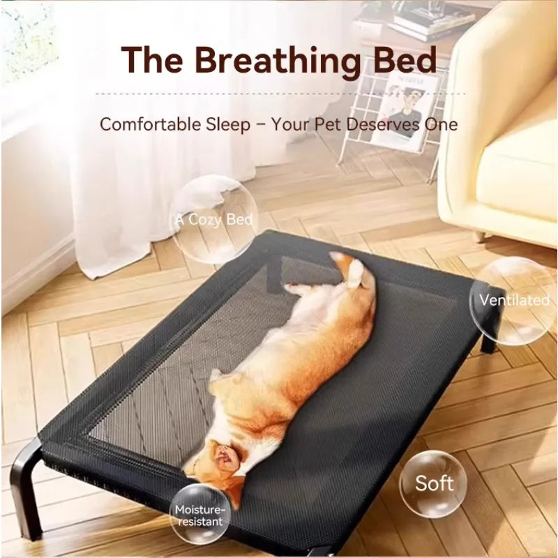 Elevated Dog Bed - Raised Summer Cot, Non-Slip & Portable – photo 6
