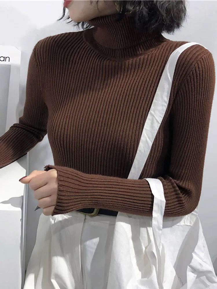Women's Korean Turtleneck Sweater — Slim Knit Jumper