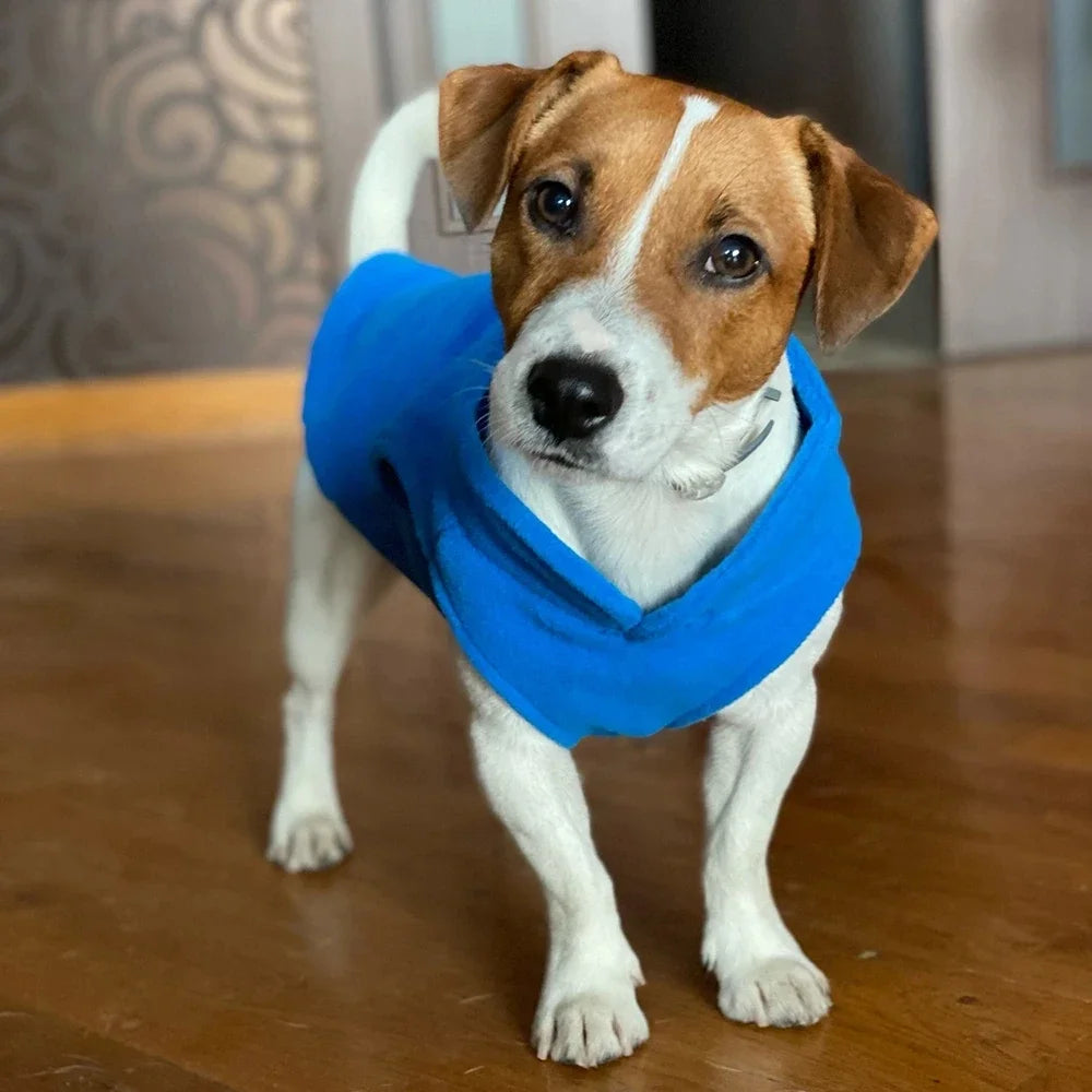 Fleece Dog Vest Jacket with D-Ring - Warm Coat for Small Dogs - photo 4