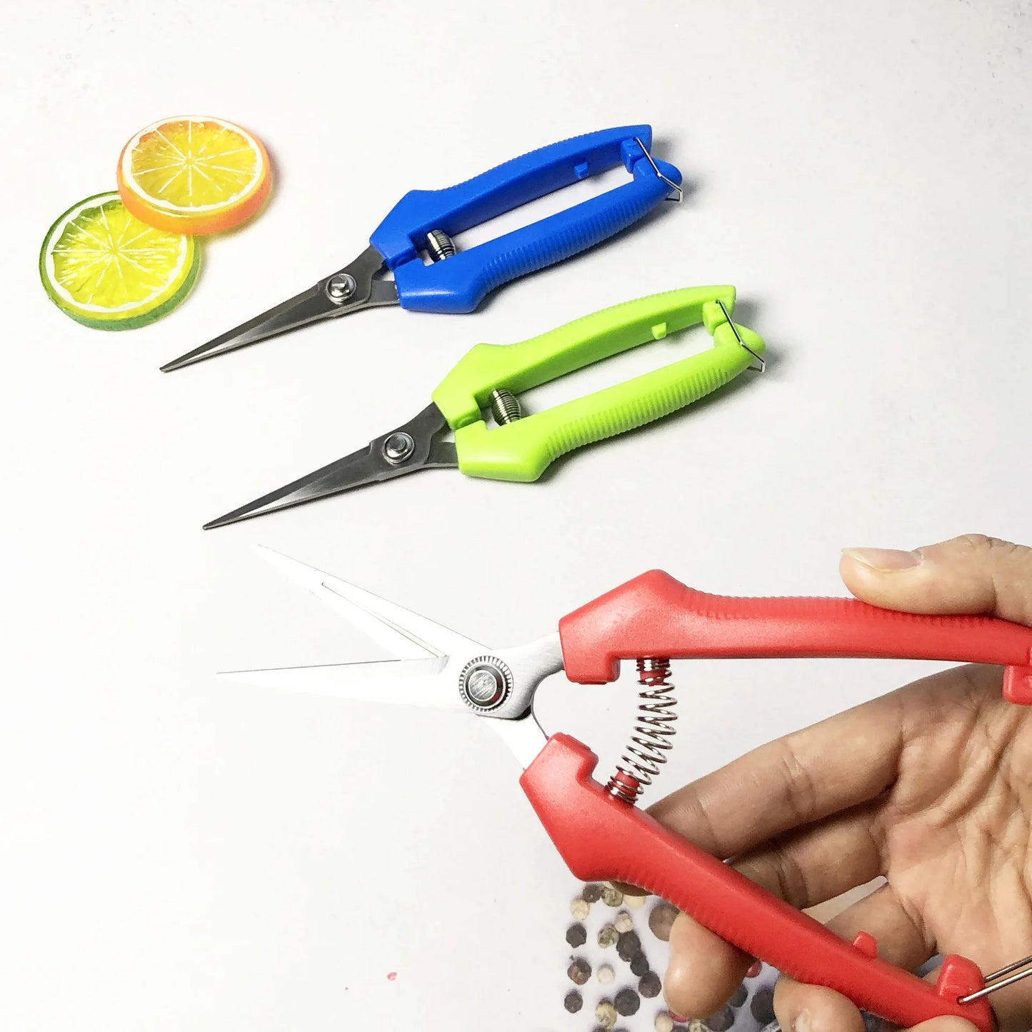 Straight-Head Pruning Shears — Stainless Steel Bonsai Garden Scissors