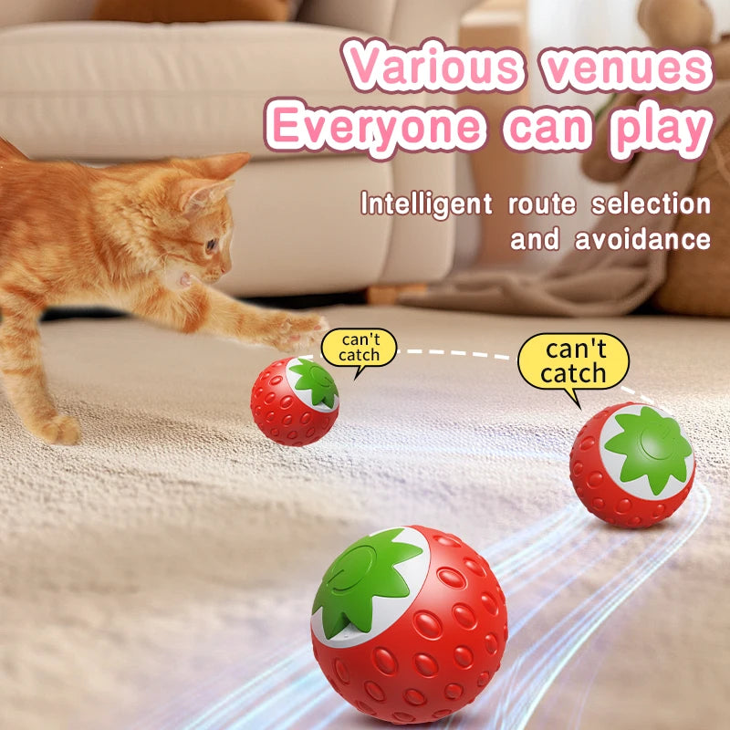 Smart Electric Rolling Cat Toy Ball – USB Rechargeable Automatic Interactive Teaser | Moving Bouncing Ball for Cats