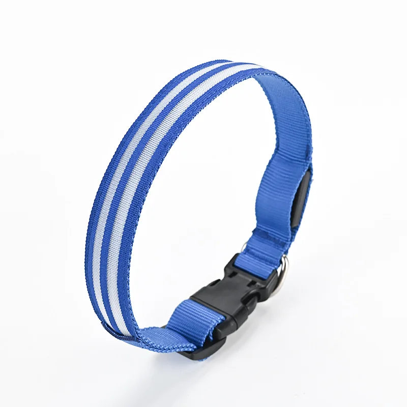LED Light Up Dog Collar – Rechargeable Glowing Safety Collar for Night Walks | Color LED Pet Necklace with Harness & Leash Ring