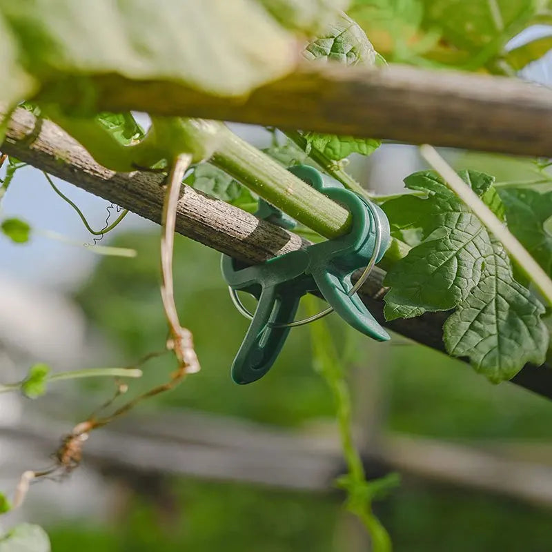 20Pcs Garden Plant Support Clips — Reusable Vine & Stem Holders